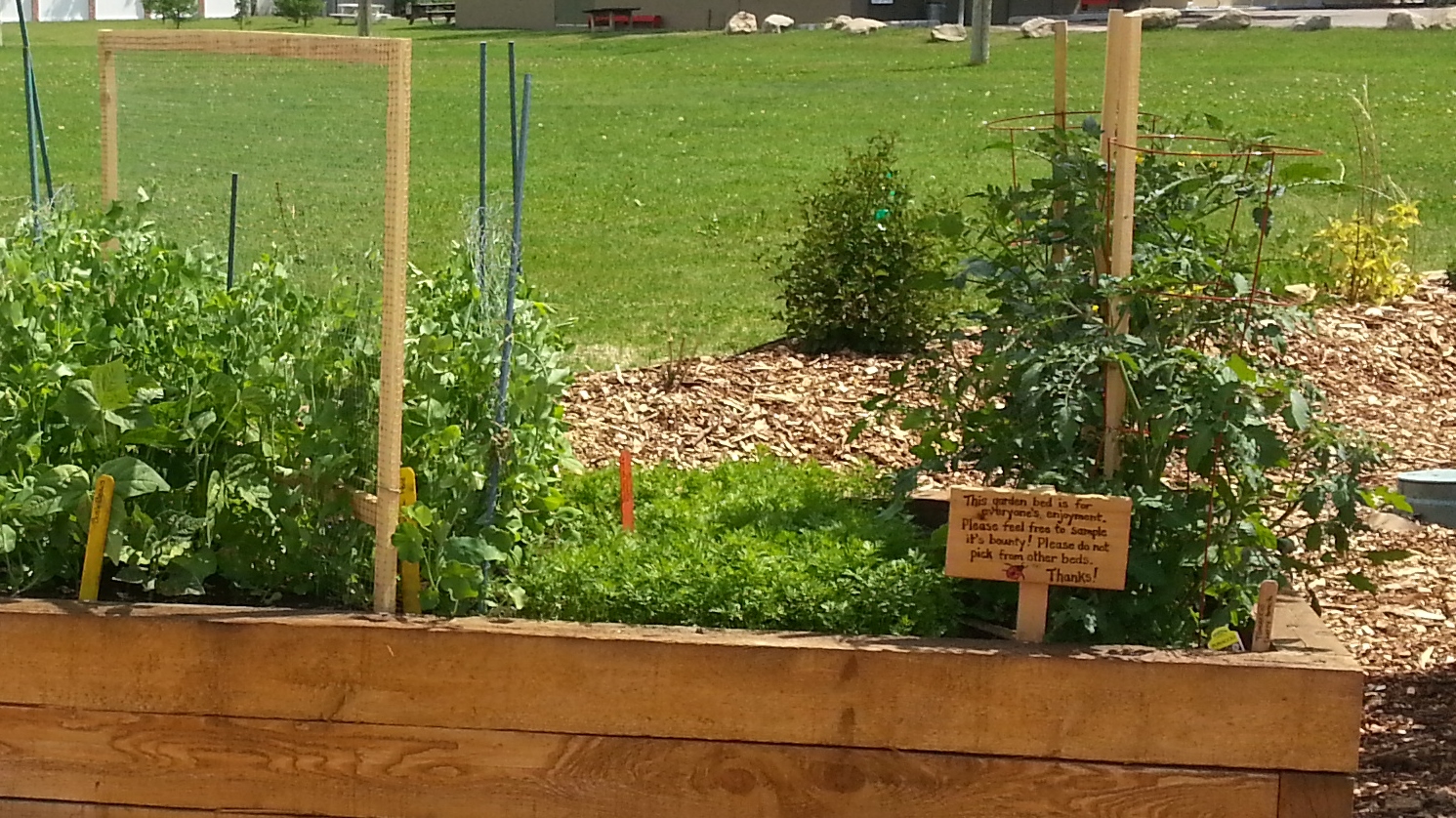 Community garden bed