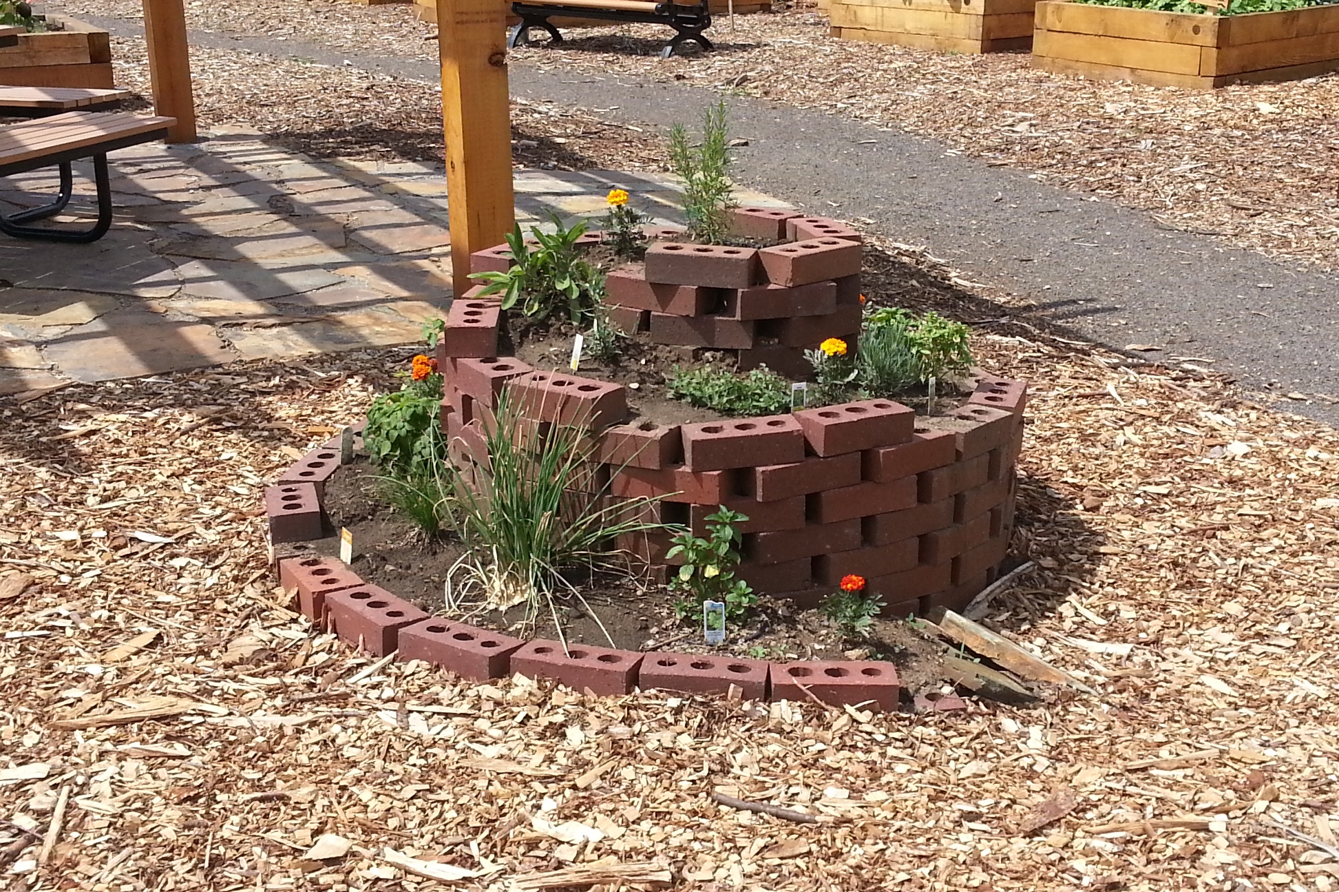 Community garden herb spiral