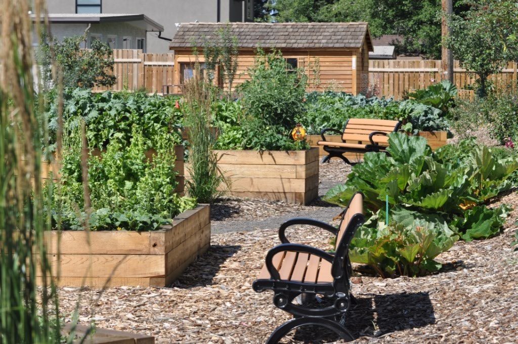 Community garden view