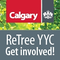 2016-0563 ReTree YYC digital button B